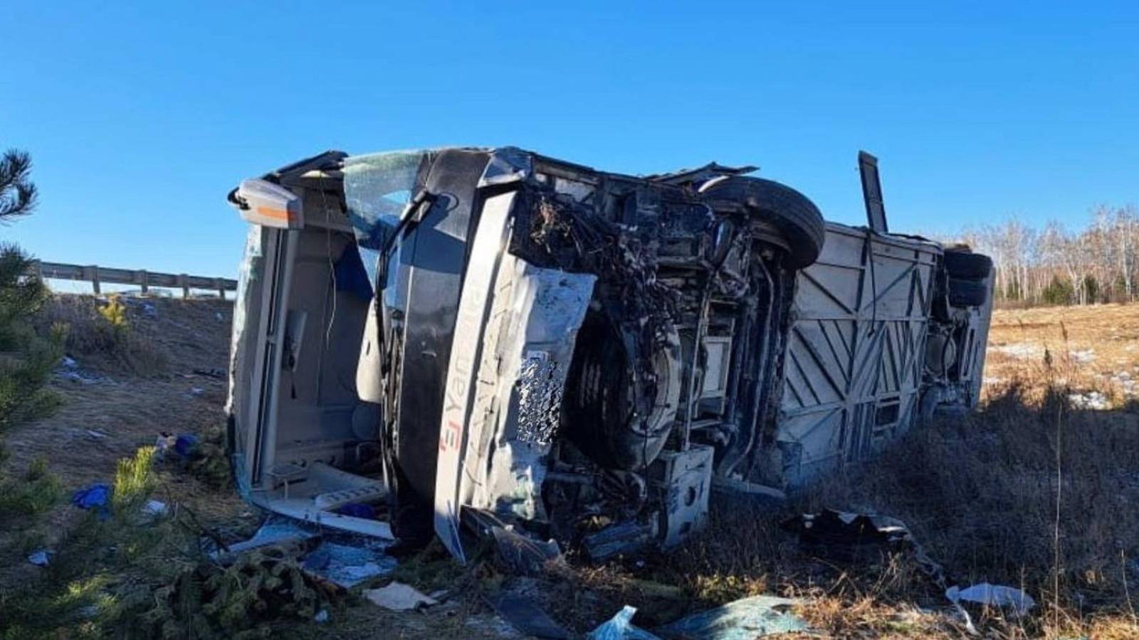 Shaffof leggingsdagi seksual eshak